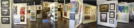 Other Exhibits artwork at Austin Art & Frame featuring Gallery Panoramic