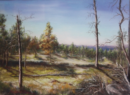 Solitudes by artist Richard Banh