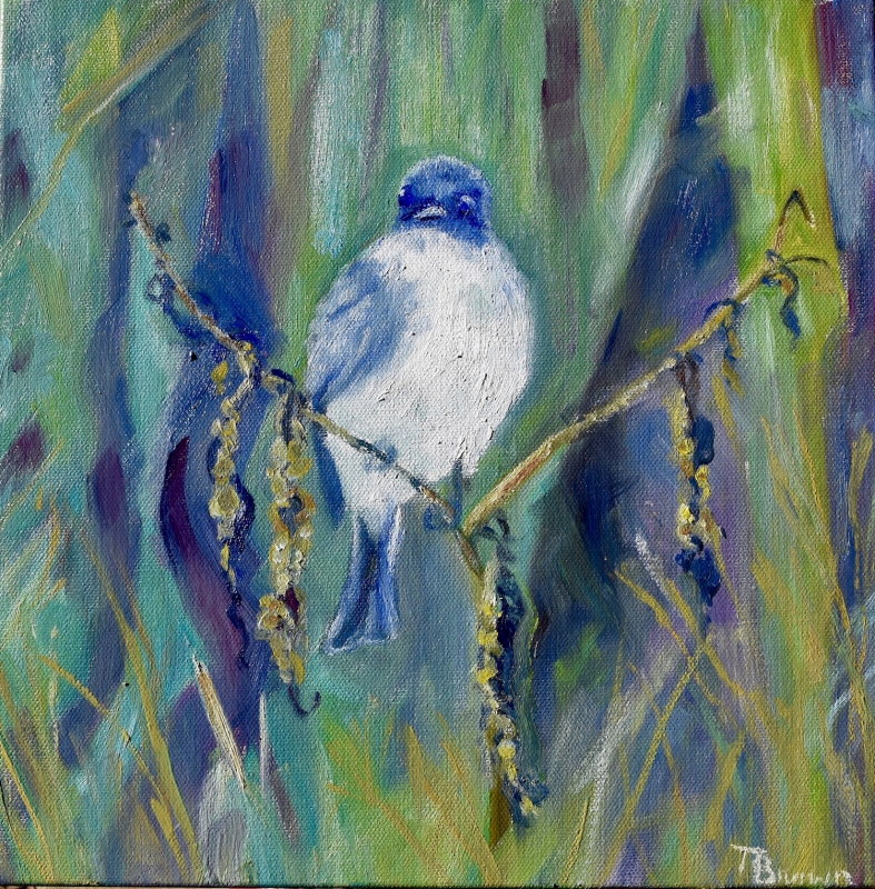 Phoebe by artist Tammy Brown