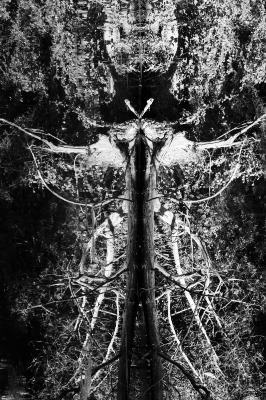 Shaman by artist Tammy Brown