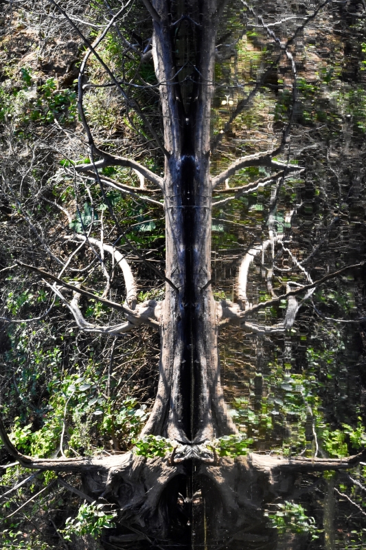 Totem by artist Tammy Brown