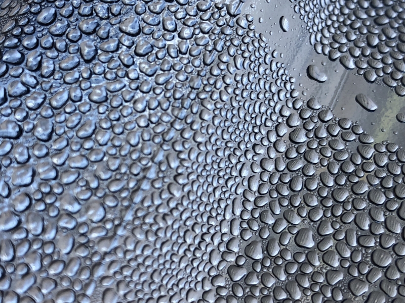 Dropped by artist Andres Cavazos