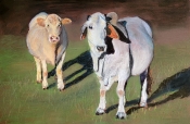 art of Brenda Haverly