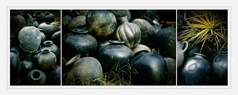 Freedom by artist Gray Hawn