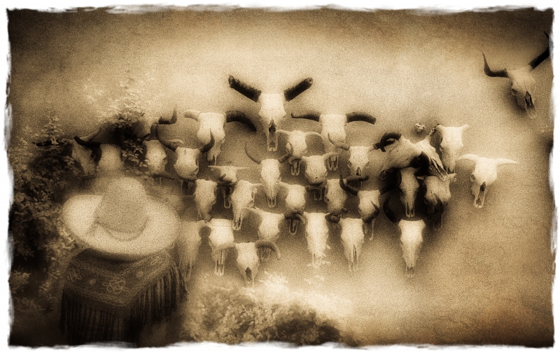 Shadows by artist Gray Hawn