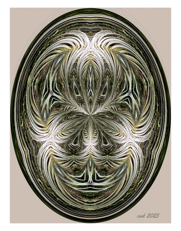 Faces by artist Charlie Kreitler
