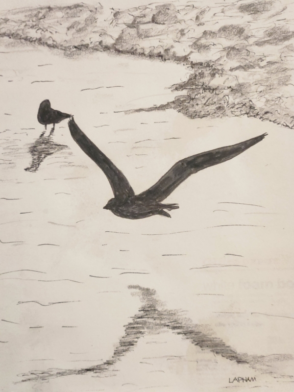 Blackbird by artist Kurt Lapham