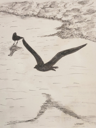 Blackbird by artist Kurt Lapham