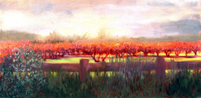 Fredericksburg Peach Orchard by artist Eve Larson