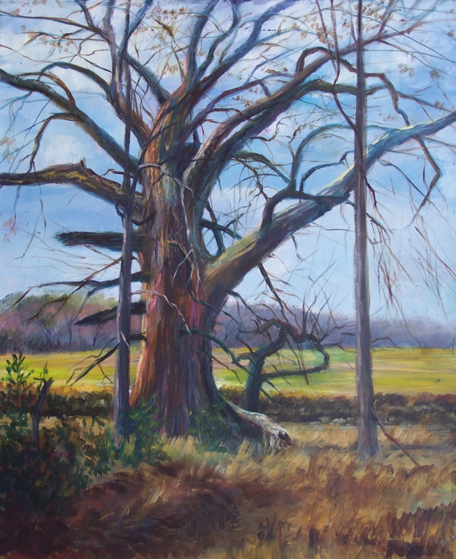 Grandfather Tree by artist Eve Larson