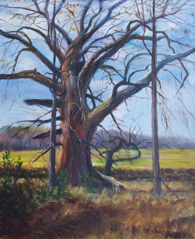 Grandfather Tree by artist Eve Larson