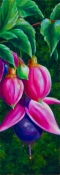 art of Nancy Paton