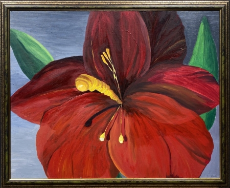 Hibiscus by artist Grania Peterson