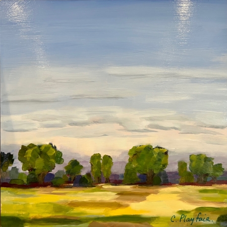 by artist Cynthia Playfair
