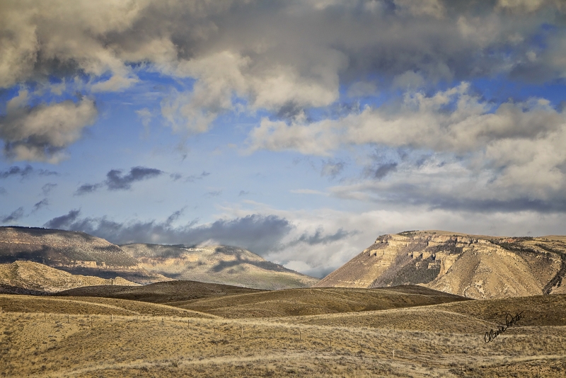 Plains by artist Claire Porter