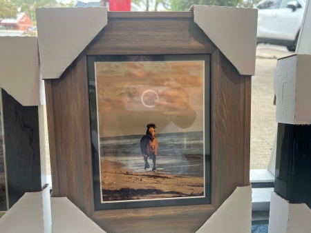 Resilience by artist Claire Porter