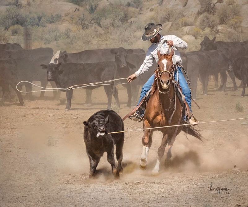 Tradition by artist Claire Porter