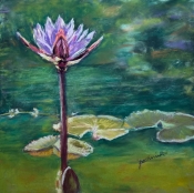 art of Julie Schmidt
