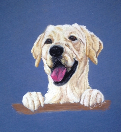 Comet by artist Denise Schneyer