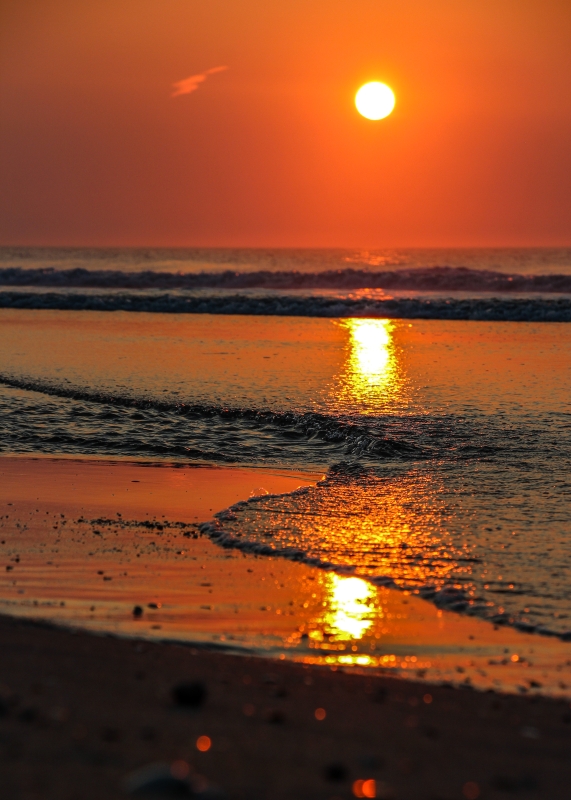 Drawn by artist Mike Shay