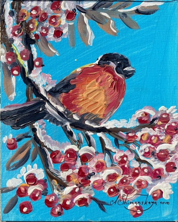 Bullfinch by artist Anastasia Shimanskaya