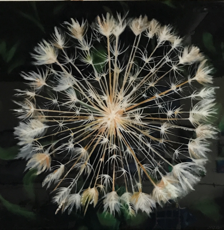 Dandelion by artist Mary Wallace-Green
