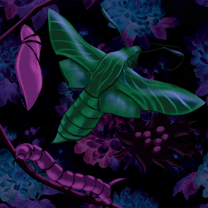 Metamorphosis by artist Micah Zcott