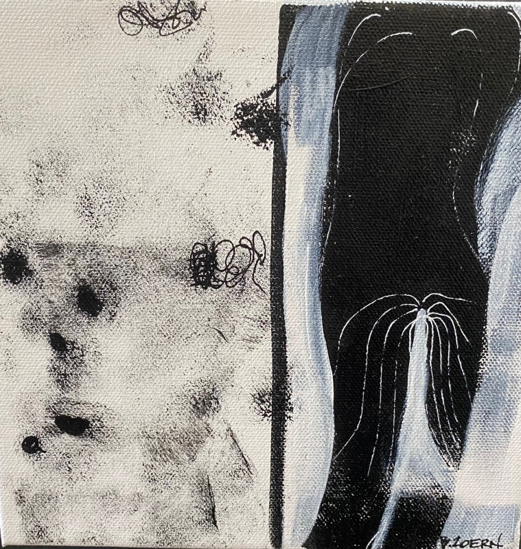 Veil by artist Barbara Zoern