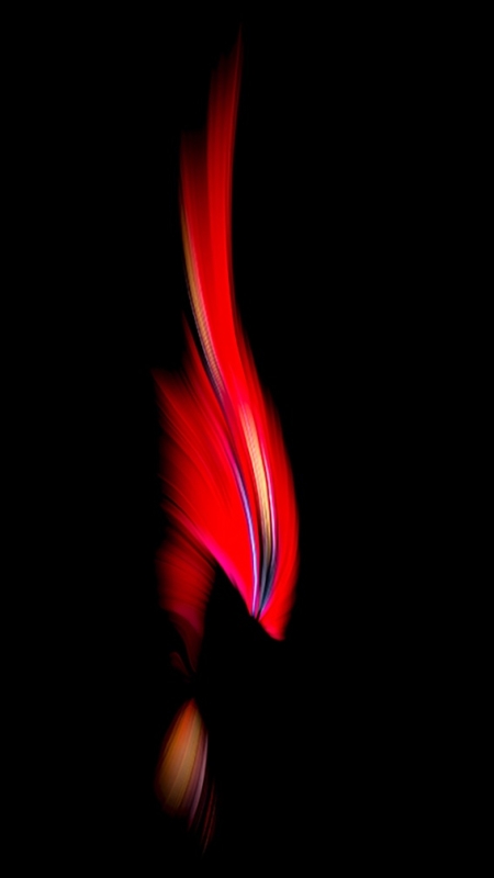 FIRE by artist timothy sens